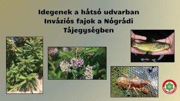 Idegenek a hátsó udvarban - Inváziós fajok a Nógrádi Tájegységben