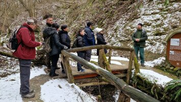 Téli barangolás az egykori trópusokon